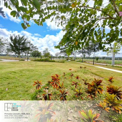Avida Northdale Settings Alviera Content (Lot B)