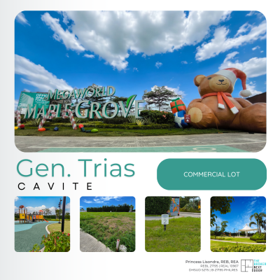 Maple Grove Commercial District Content